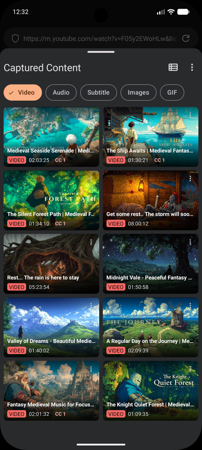 Firedown's Captured Content screen listing every downloadable video found on a page, each tagged with its quality